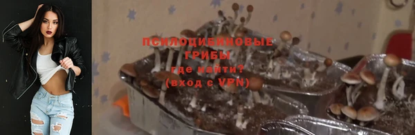 винт Арсеньев