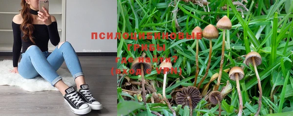 спиды Покров