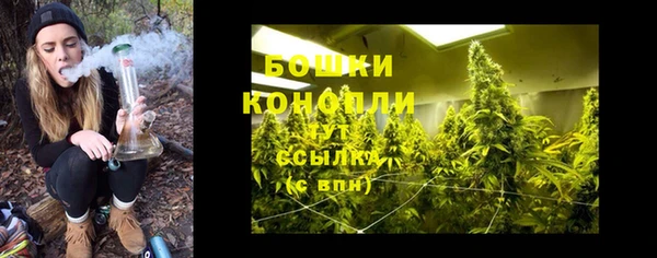 спайс Покачи