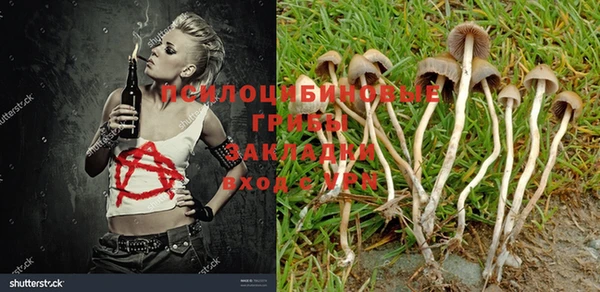 спайс Баксан